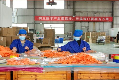 全球最大的小商品產業帶義烏,全力備戰天貓雙11